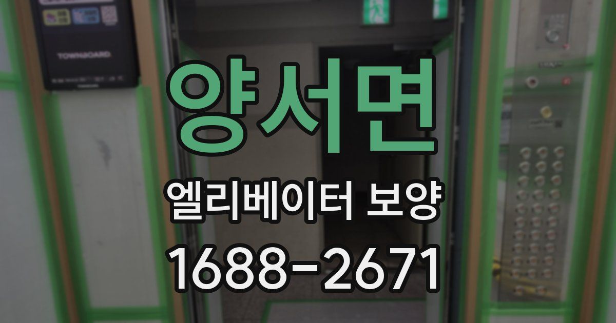 양서면 엘리베이터 보양