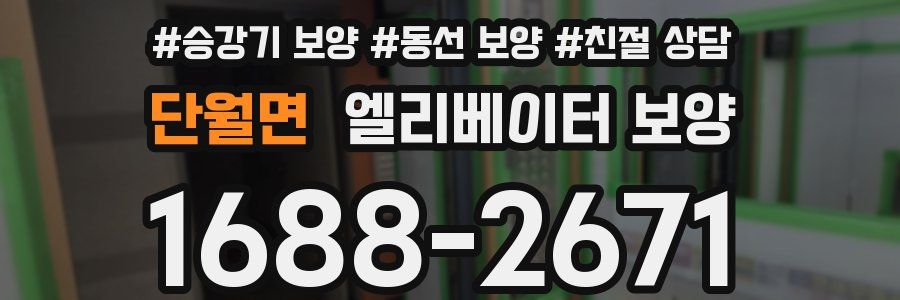 단월면 엘리베이터 보양