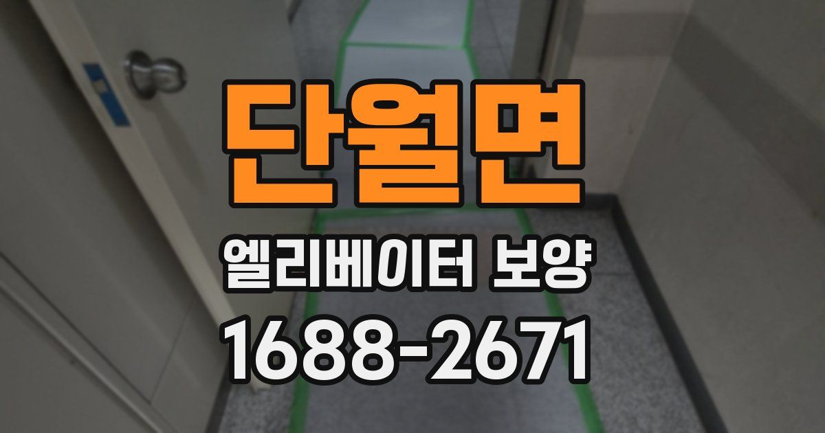 단월면 엘리베이터 보양