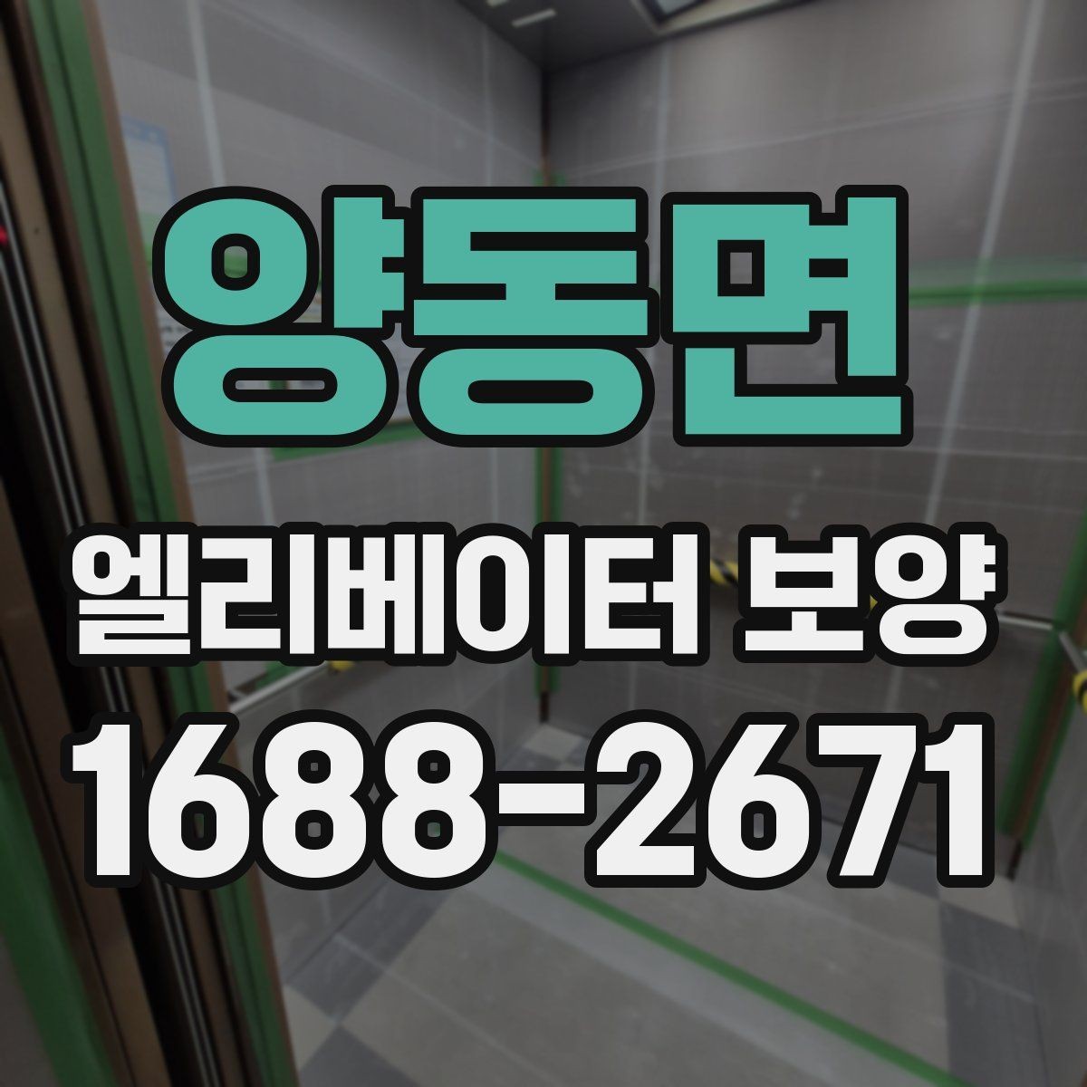 양동면 엘리베이터 보양 서비스 선택 전에 알아둘 점