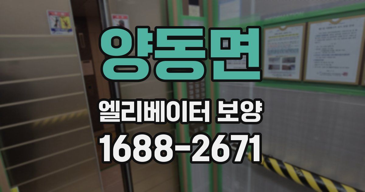 양동면 엘리베이터 보양