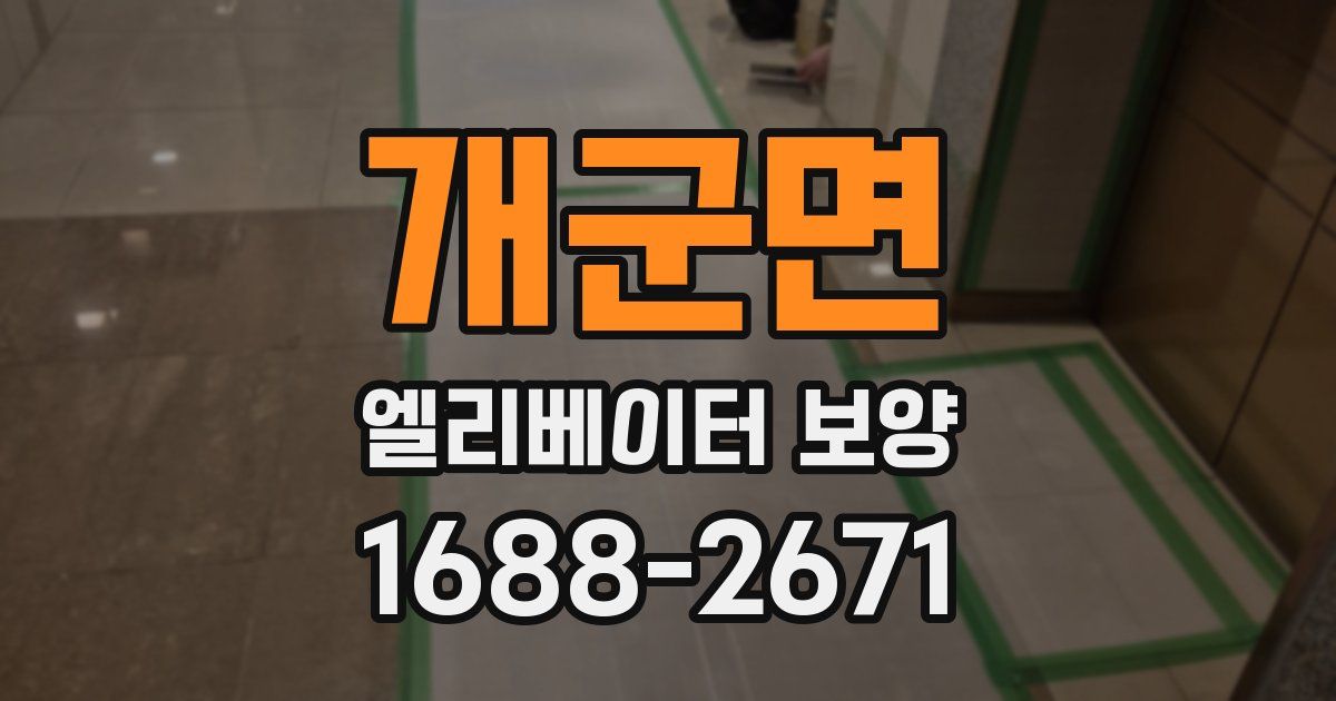개군면 엘리베이터 보양