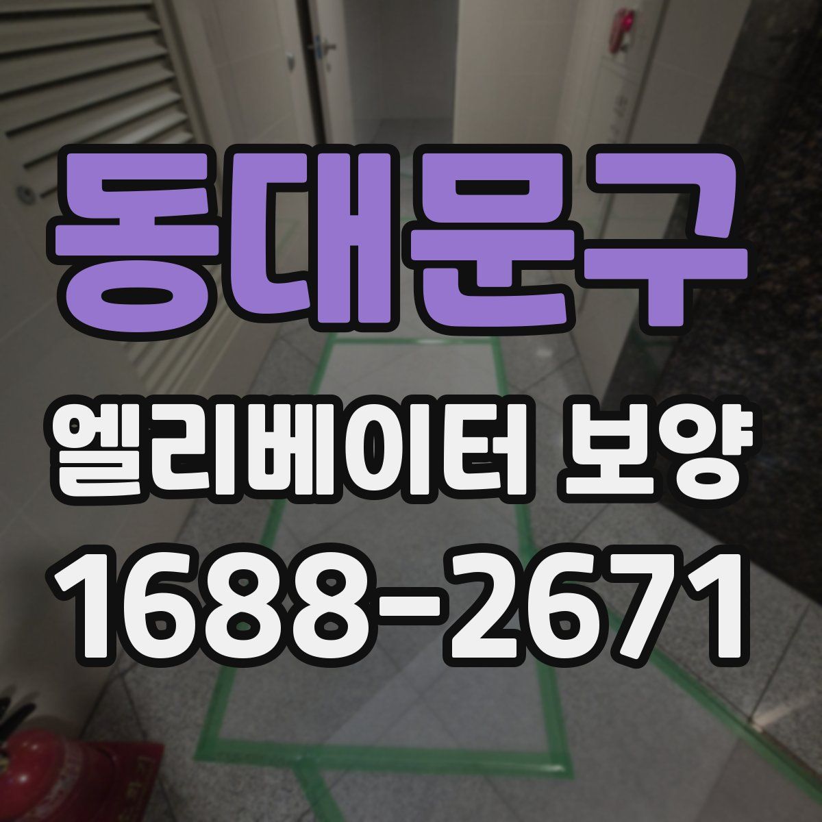 동대문구 엘리베이터 보양