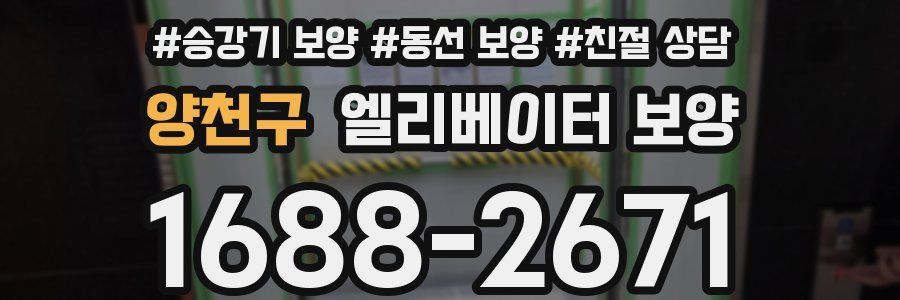 양천구 엘리베이터 보양