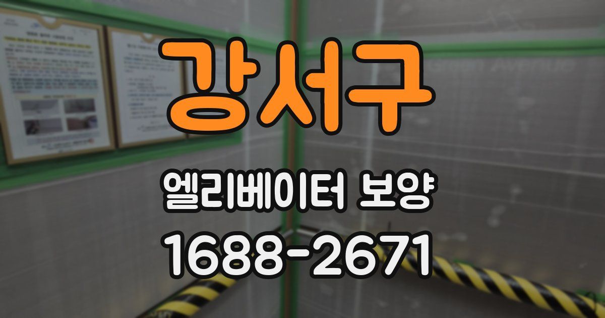 강서구 엘리베이터 보양