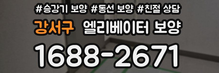 강서구 엘리베이터 보양