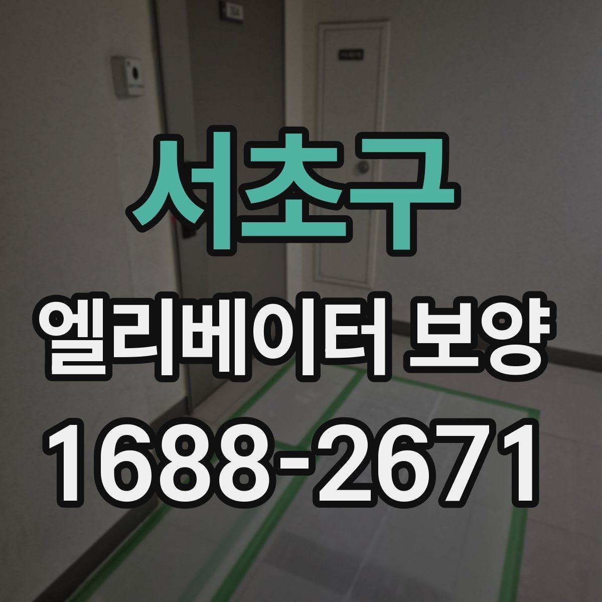 서초구 엘리베이터 보양 자재 손상 없이 작업하는 방법