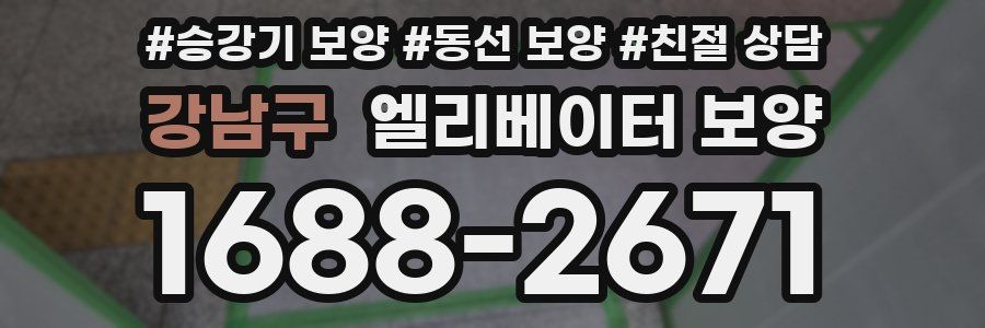 강남구 엘리베이터 보양