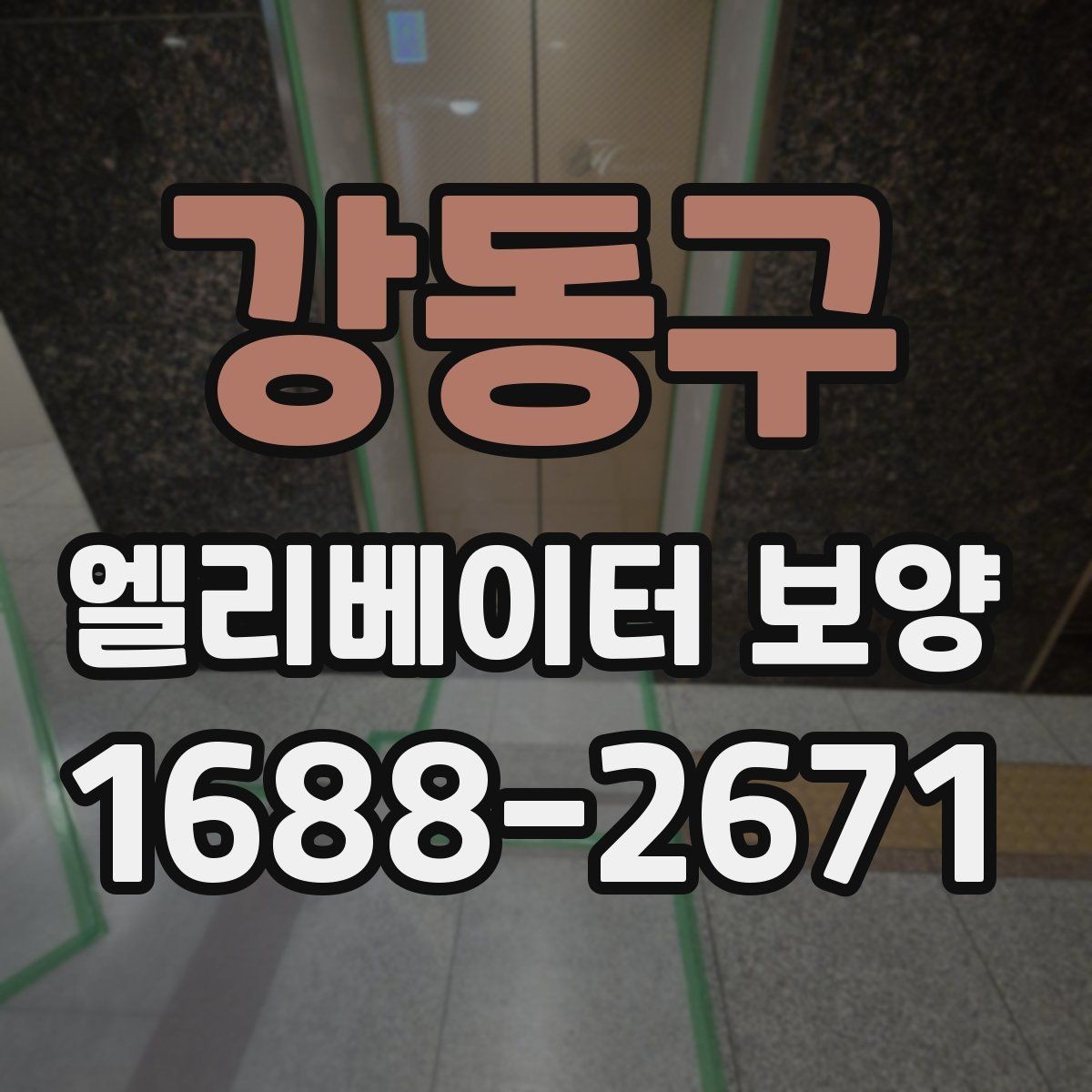 강동구 엘리베이터 보양 견적을 비교할 때 보는 항목