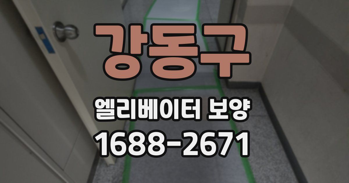 강동구 엘리베이터 보양