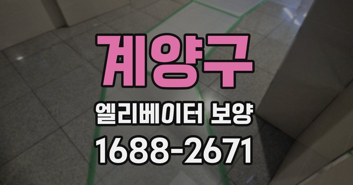 계양구 엘리베이터 보양