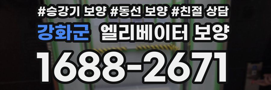 강화군 엘리베이터 보양