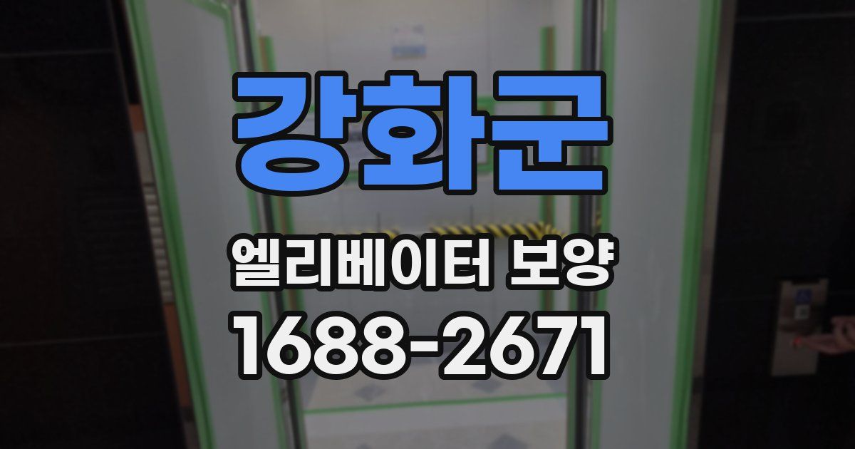 강화군 엘리베이터 보양