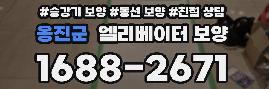 옹진군 엘리베이터 보양