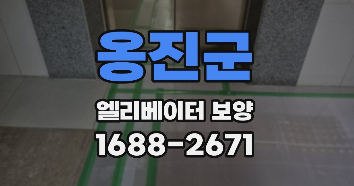 옹진군 엘리베이터 보양