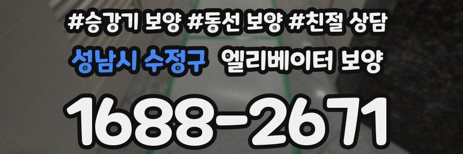 성남시 수정구 엘리베이터 보양