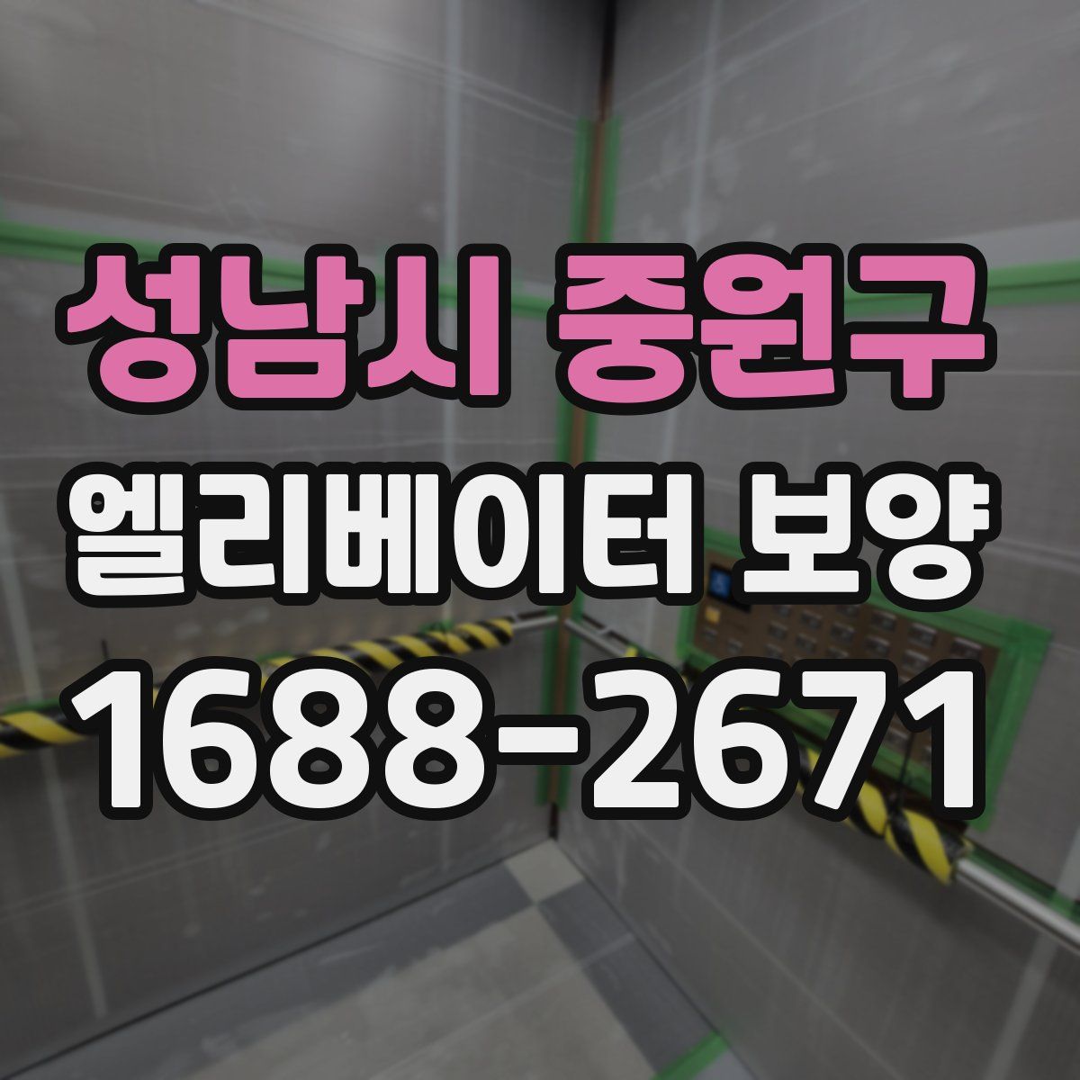 성남시 중원구 엘리베이터 보양