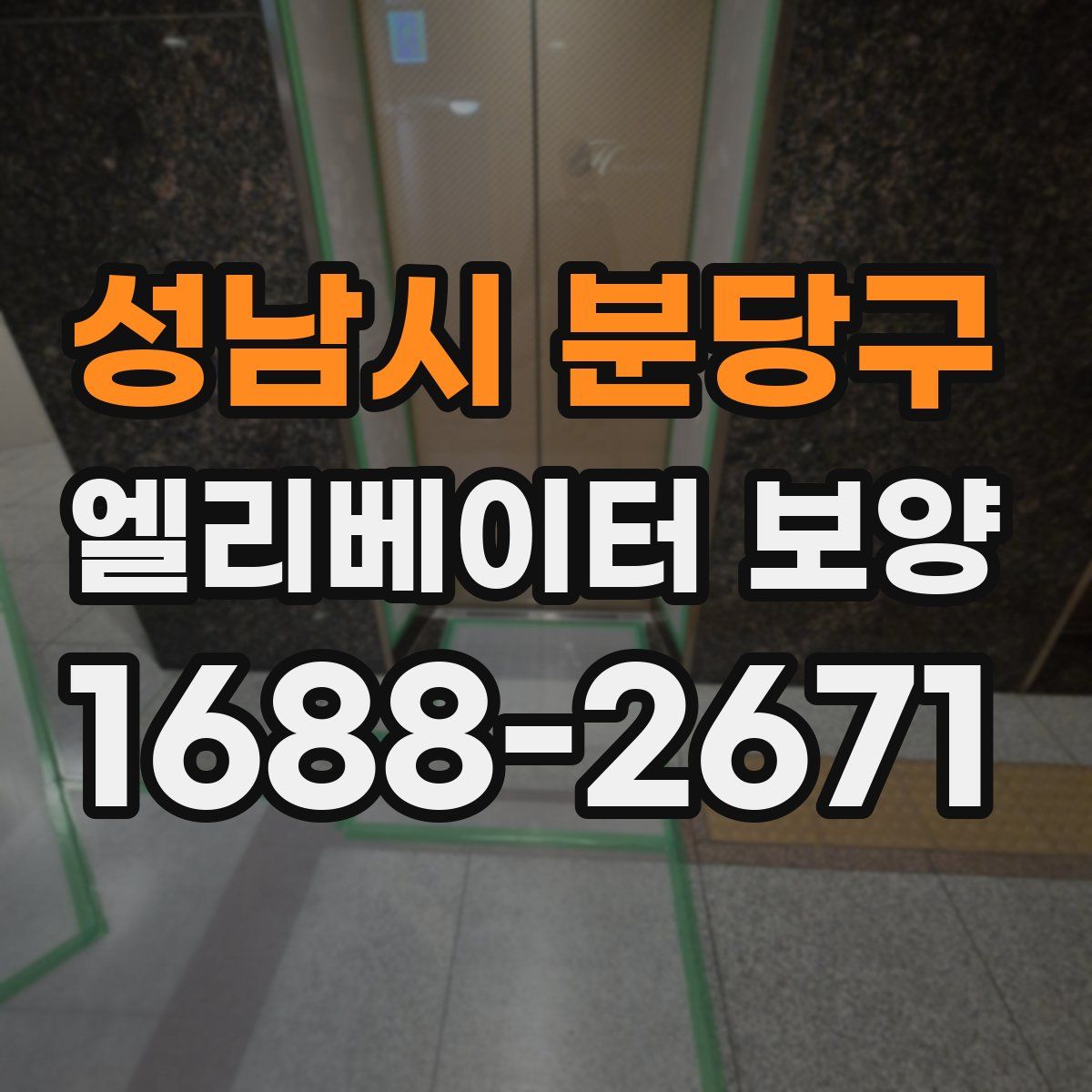 성남시 분당구 엘리베이터 보양