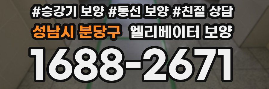 성남시 분당구 엘리베이터 보양