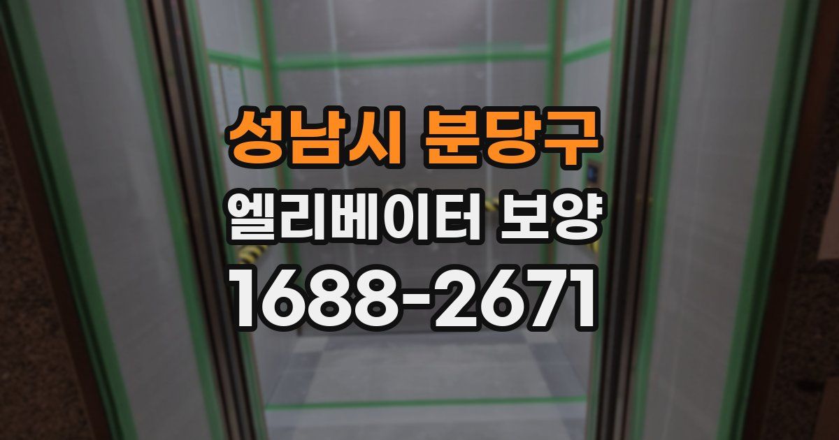 성남시 분당구 엘리베이터 보양