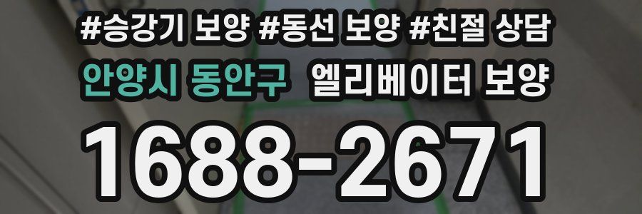 안양시 동안구 엘리베이터 보양