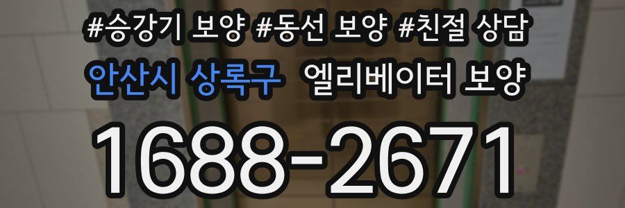 안산시 상록구 엘리베이터 보양
