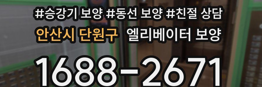 안산시 단원구 엘리베이터 보양