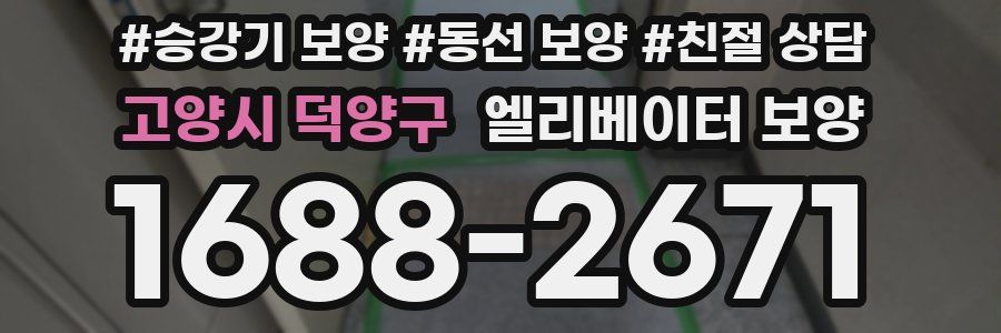 고양시 덕양구 엘리베이터 보양