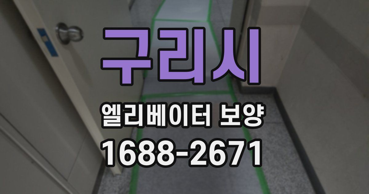 구리시 엘리베이터 보양
