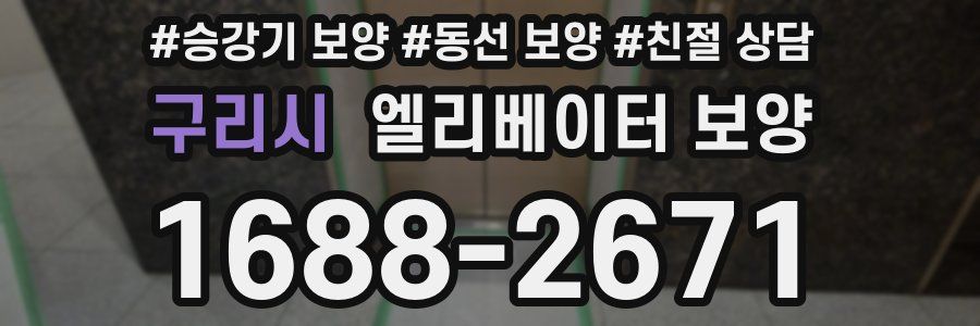 구리시 엘리베이터 보양