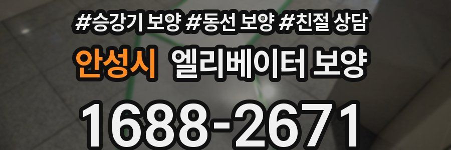 안성시 엘리베이터 보양