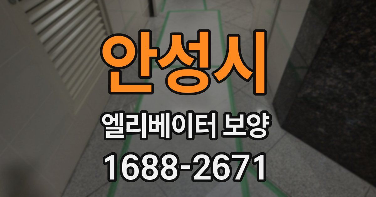 안성시 엘리베이터 보양