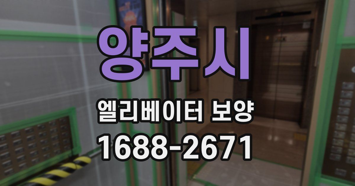 양주시 엘리베이터 보양