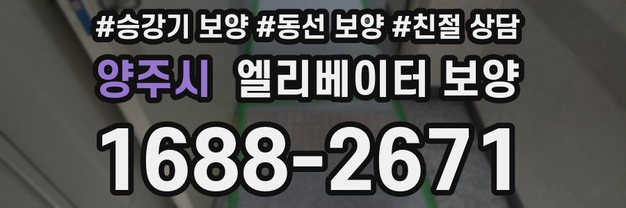 양주시 엘리베이터 보양