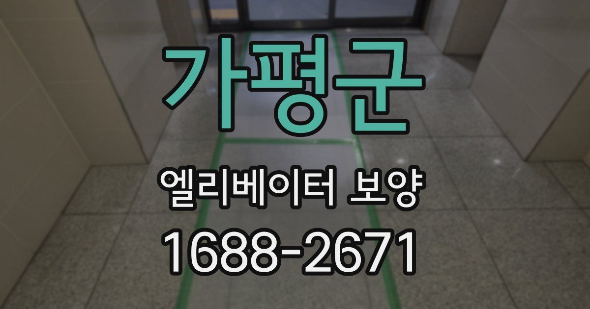가평군 엘리베이터 보양
