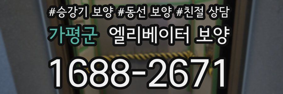 가평군 엘리베이터 보양