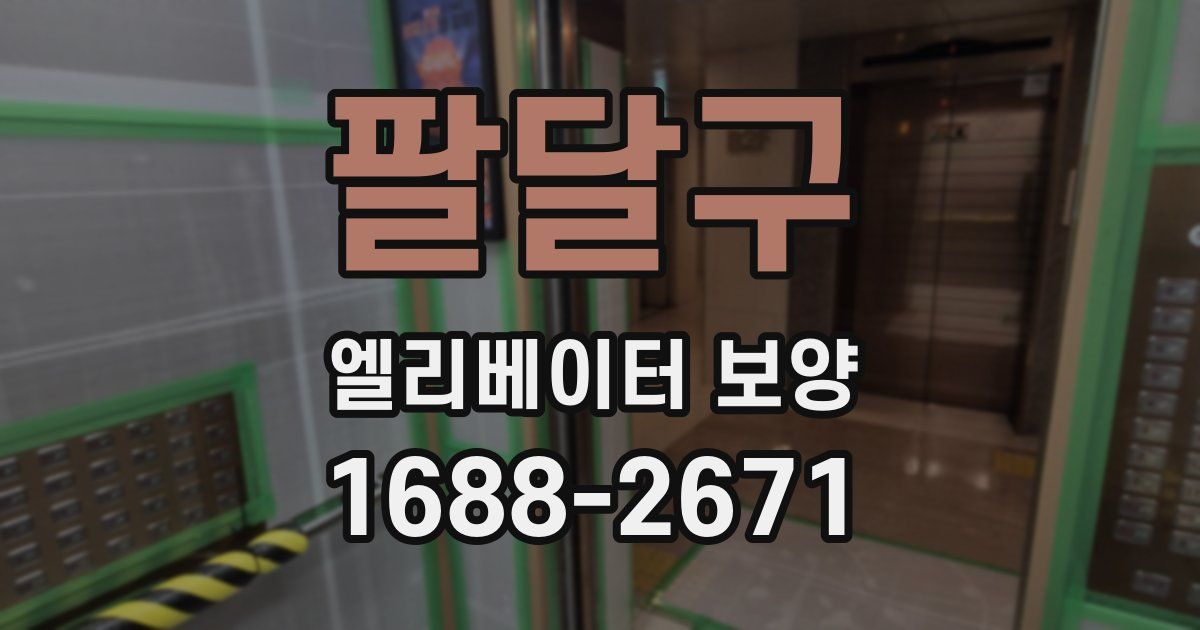 팔달구 엘리베이터 보양