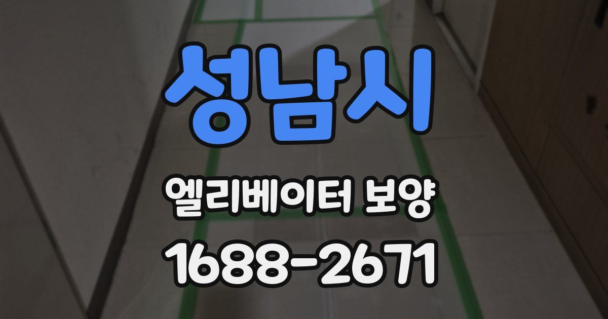 성남시 엘리베이터 보양