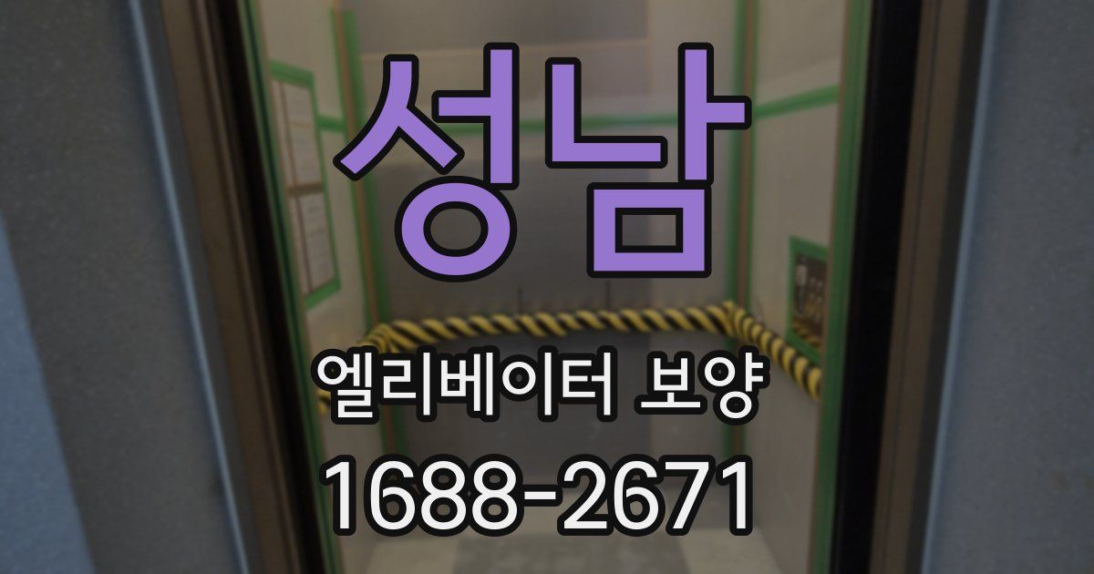 성남 엘리베이터 보양