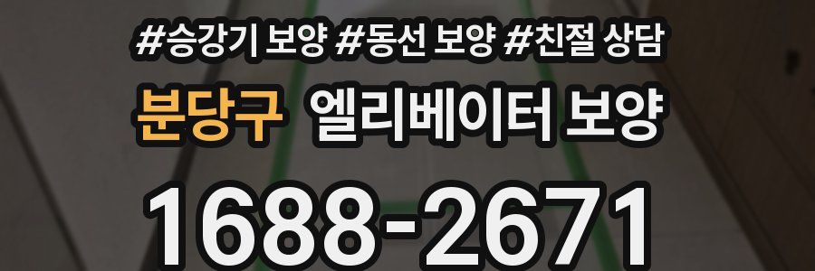 분당구 엘리베이터 보양
