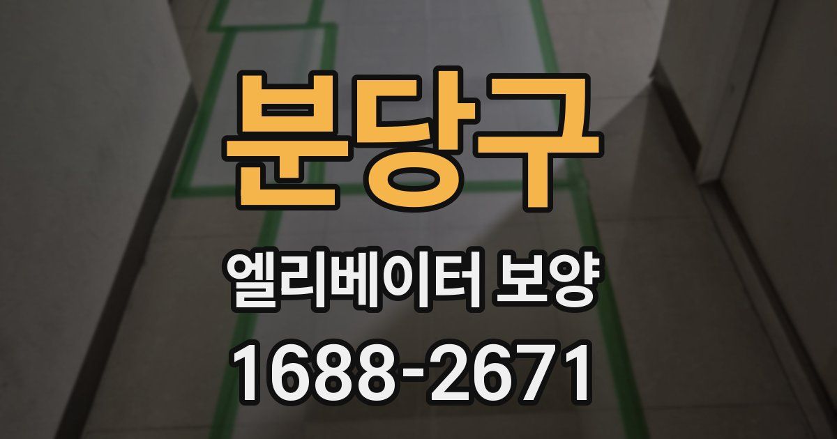 분당구 엘리베이터 보양
