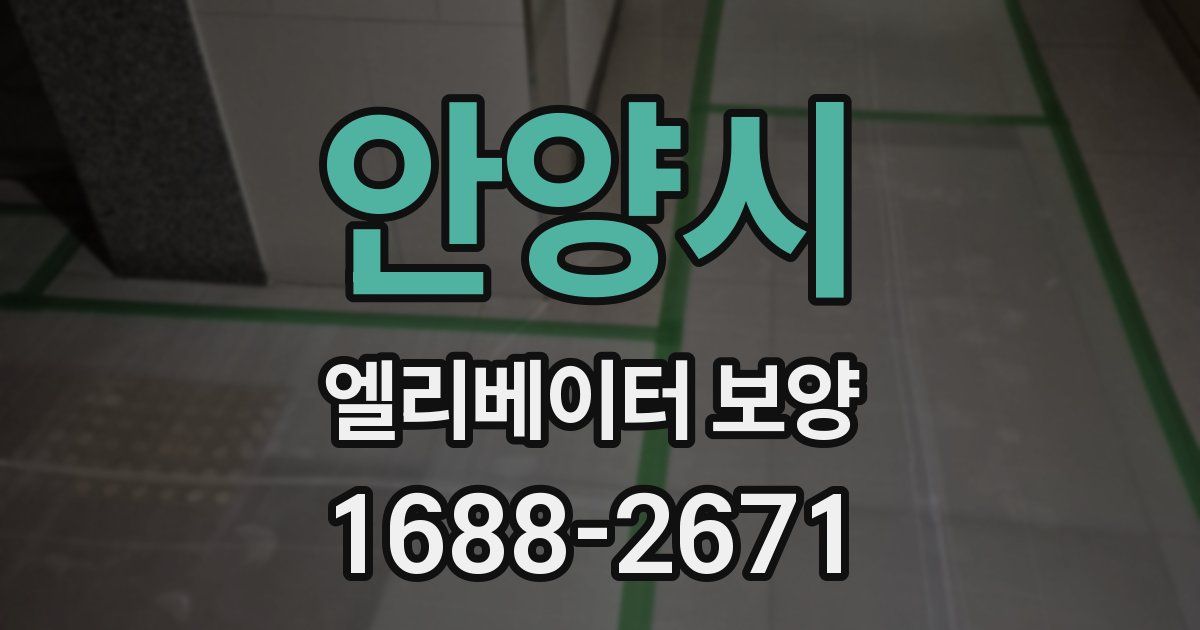 안양시 엘리베이터 보양