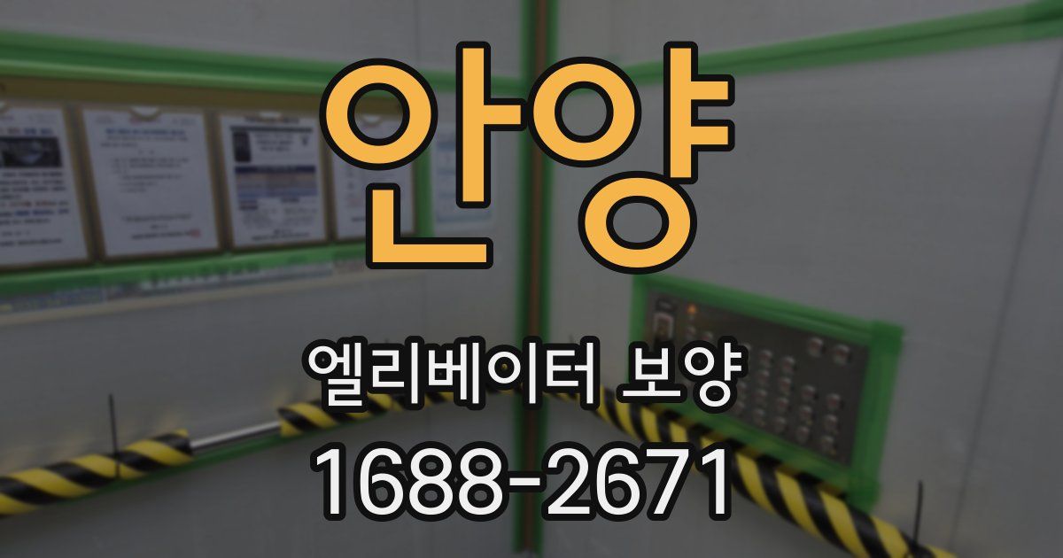 안양 엘리베이터 보양
