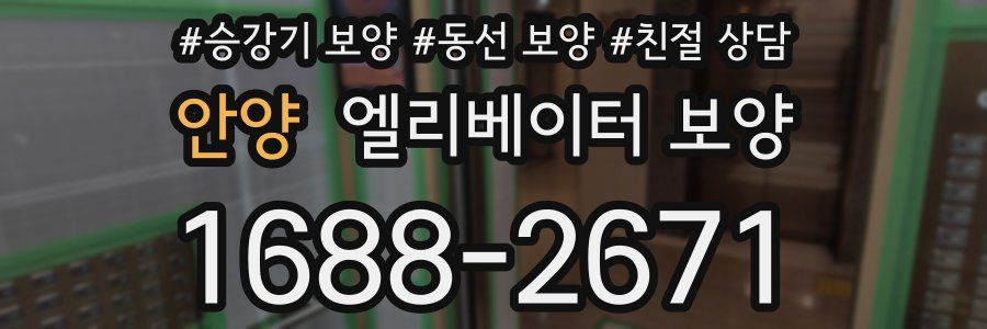 안양 엘리베이터 보양