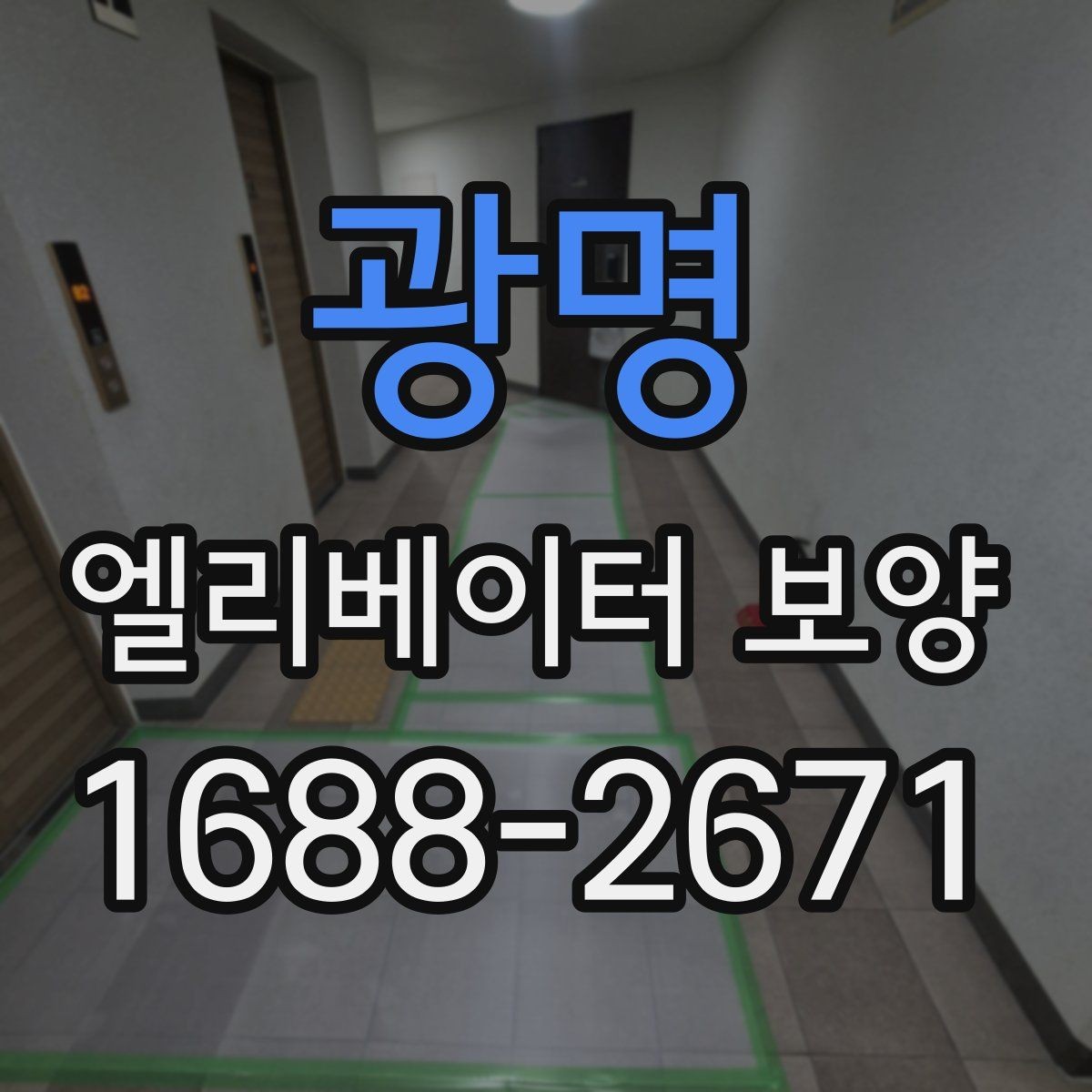 광명 엘리베이터 보양 종류별 특징과 활용 상황