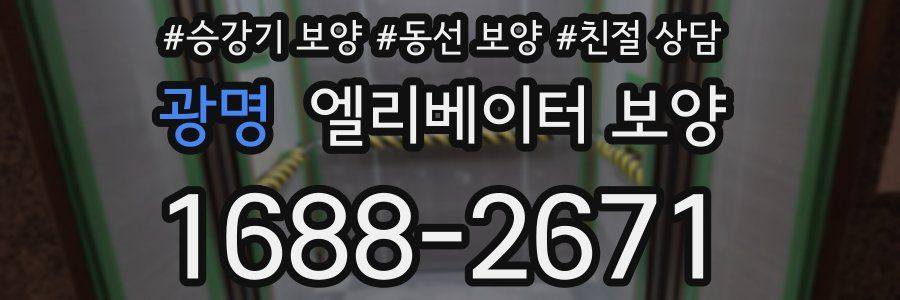 광명 엘리베이터 보양