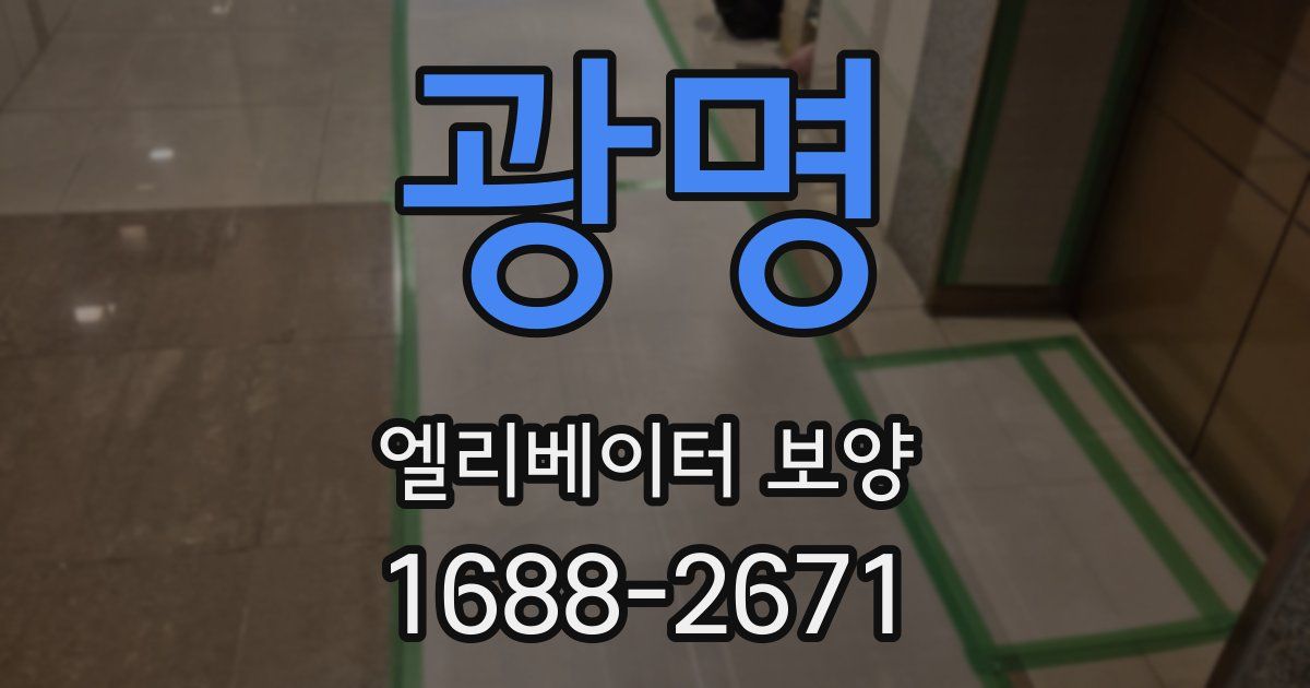 광명 엘리베이터 보양