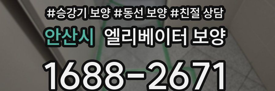안산시 엘리베이터 보양