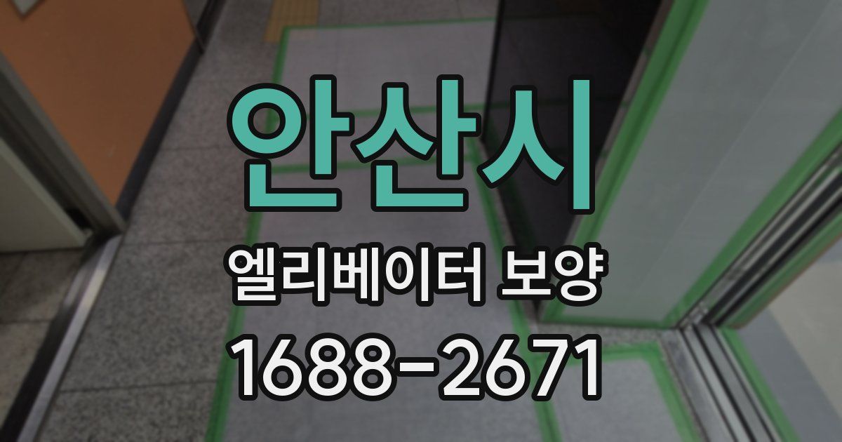 안산시 엘리베이터 보양