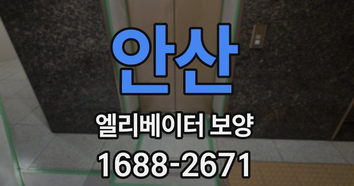 안산 엘리베이터 보양